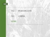 第五单元　第二十八课时　伴性遗传和人类遗传病-2025年高考生物大一轮复习课件