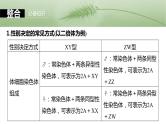 第五单元　第二十八课时　伴性遗传和人类遗传病-2025年高考生物大一轮复习课件