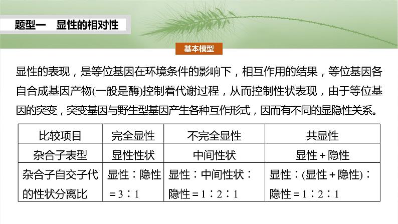 第五单元　专题突破5　基因分离定律拓展题型突破-2025年高考生物大一轮复习课件03