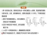第五单元　专题突破5　基因分离定律拓展题型突破-2025年高考生物大一轮复习课件