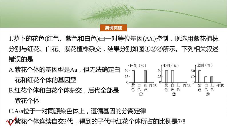 第五单元　专题突破5　基因分离定律拓展题型突破-2025年高考生物大一轮复习课件04