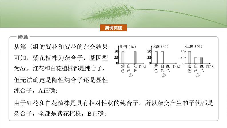 第五单元　专题突破5　基因分离定律拓展题型突破-2025年高考生物大一轮复习课件05