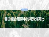 第五单元　专题突破6　自由组合定律中的特殊分离比-2025年高考生物大一轮复习课件