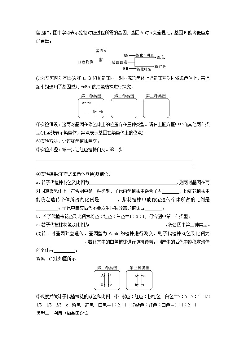 第五单元　专题突破7　探究不同对基因在常染色体上的位置-2025年高考生物大一轮复习课件03