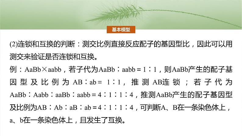 第五单元　专题突破7　探究不同对基因在常染色体上的位置-2025年高考生物大一轮复习课件06