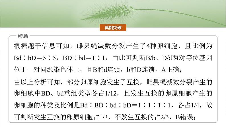 第五单元　专题突破7　探究不同对基因在常染色体上的位置-2025年高考生物大一轮复习课件08