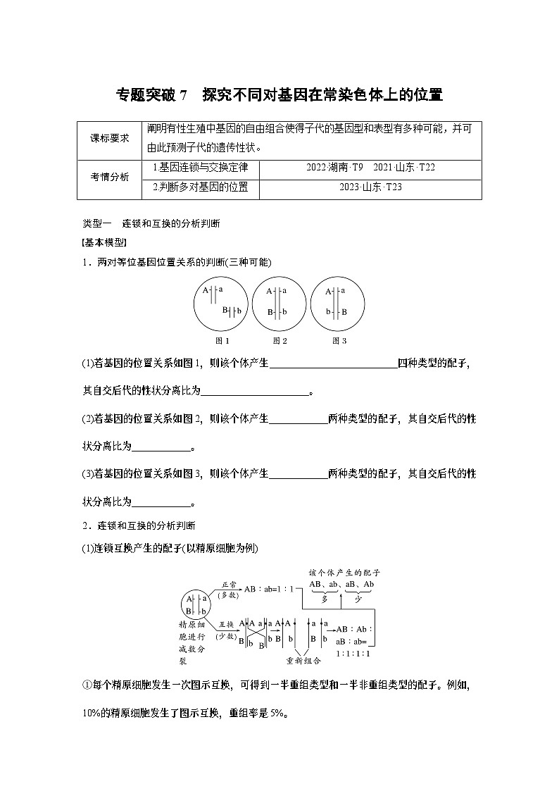 第五单元　专题突破7　探究不同对基因在常染色体上的位置-2025年高考生物大一轮复习课件01