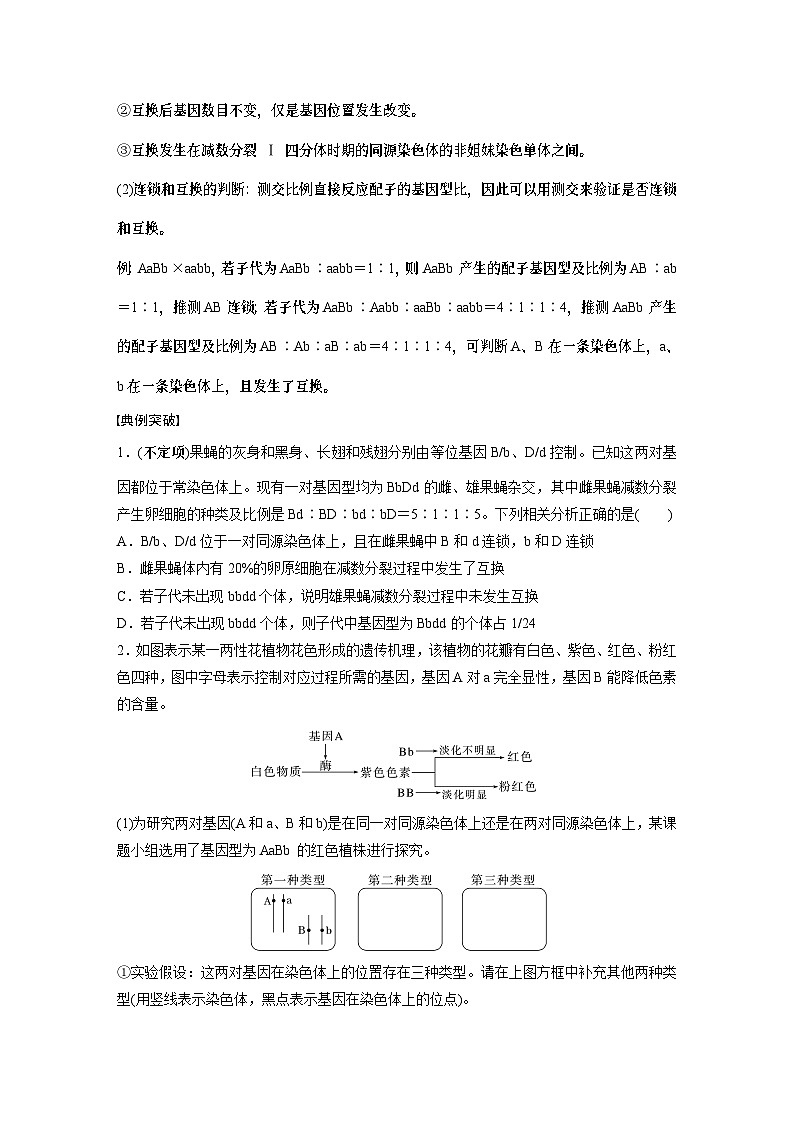 第五单元　专题突破7　探究不同对基因在常染色体上的位置-2025年高考生物大一轮复习课件02