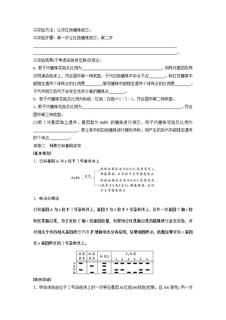 第五单元　专题突破7　探究不同对基因在常染色体上的位置-2025年高考生物大一轮复习课件03