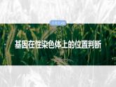 第五单元　专题突破8　基因在性染色体上的位置判断-2025年高考生物大一轮复习课件
