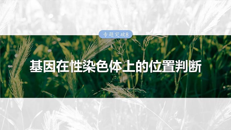 第五单元　专题突破8　基因在性染色体上的位置判断第1页