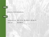 第五单元　专题突破8　基因在性染色体上的位置判断-2025年高考生物大一轮复习课件