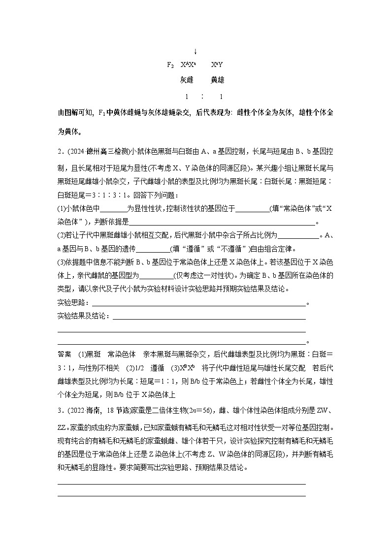 第五单元　专题突破8　基因在性染色体上的位置判断（教师版）第3页
