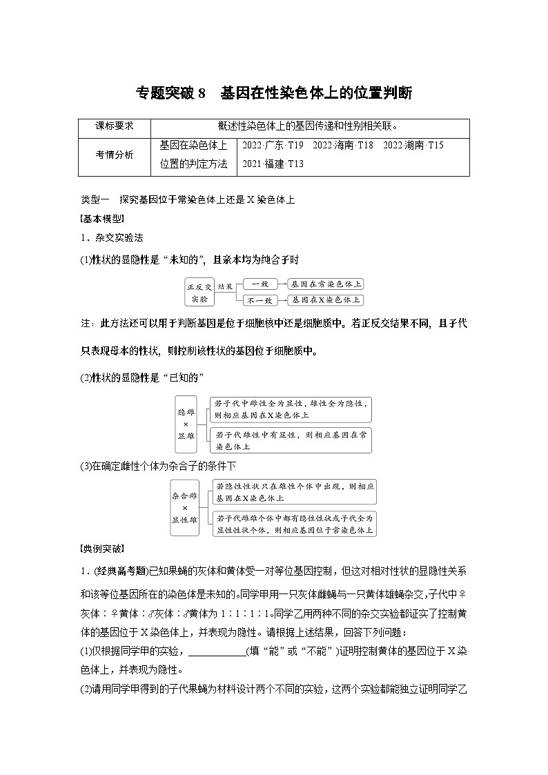 第五单元　专题突破8　基因在性染色体上的位置判断（学生版）第1页