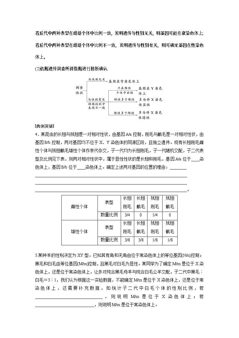 第五单元　专题突破8　基因在性染色体上的位置判断（学生版）第3页