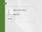 第六单元　第三十课时　DNA的结构与复制-2025年高考生物大一轮复习课件