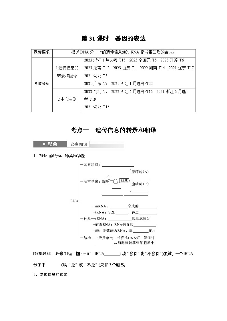 第六单元　第31课时　基因的表达-2025年高考生物大一轮复习课件01