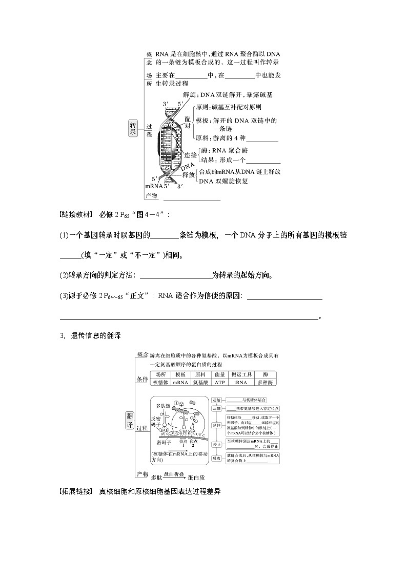 第六单元　第31课时　基因的表达-2025年高考生物大一轮复习课件02