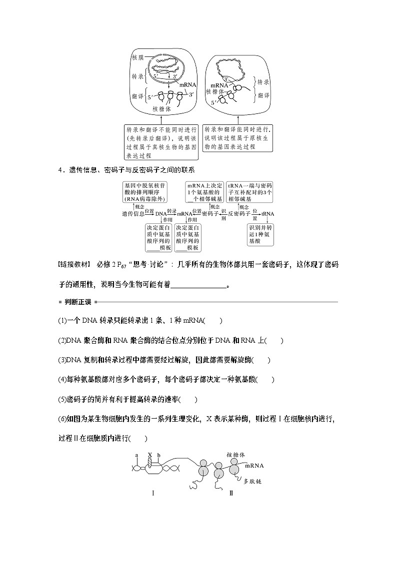 第六单元　第31课时　基因的表达-2025年高考生物大一轮复习课件03
