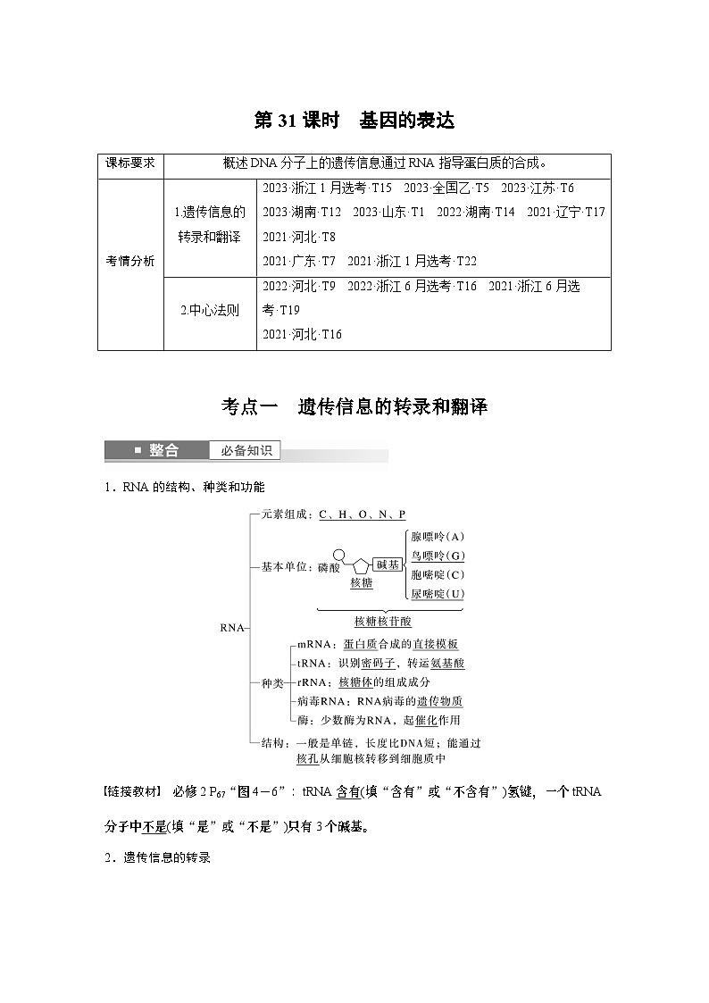 第六单元　第31课时　基因的表达-2025年高考生物大一轮复习课件01