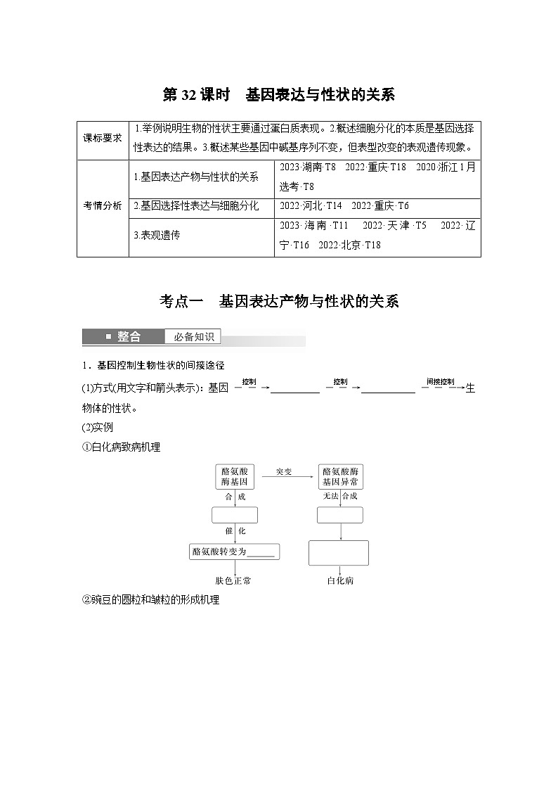 第六单元　第32课时　基因表达与性状的关系-2025年高考生物大一轮复习课件01