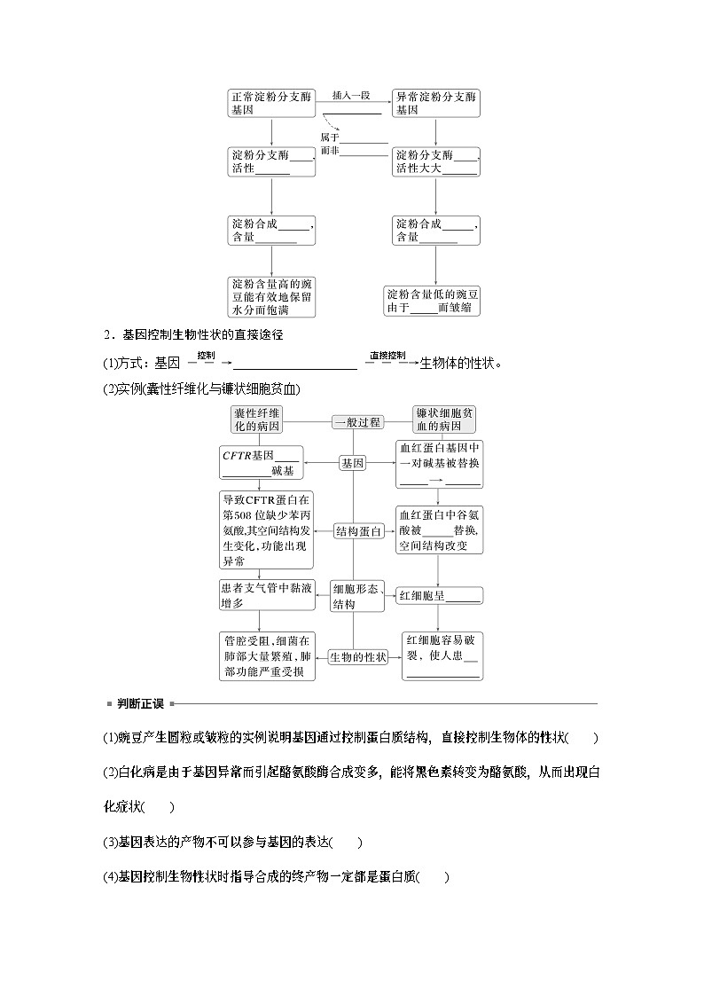 第六单元　第32课时　基因表达与性状的关系-2025年高考生物大一轮复习课件02