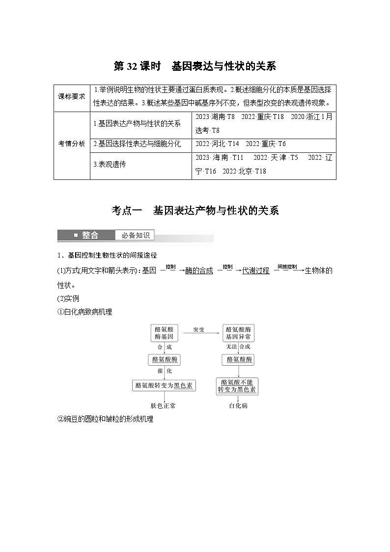 第六单元　第32课时　基因表达与性状的关系-2025年高考生物大一轮复习课件01