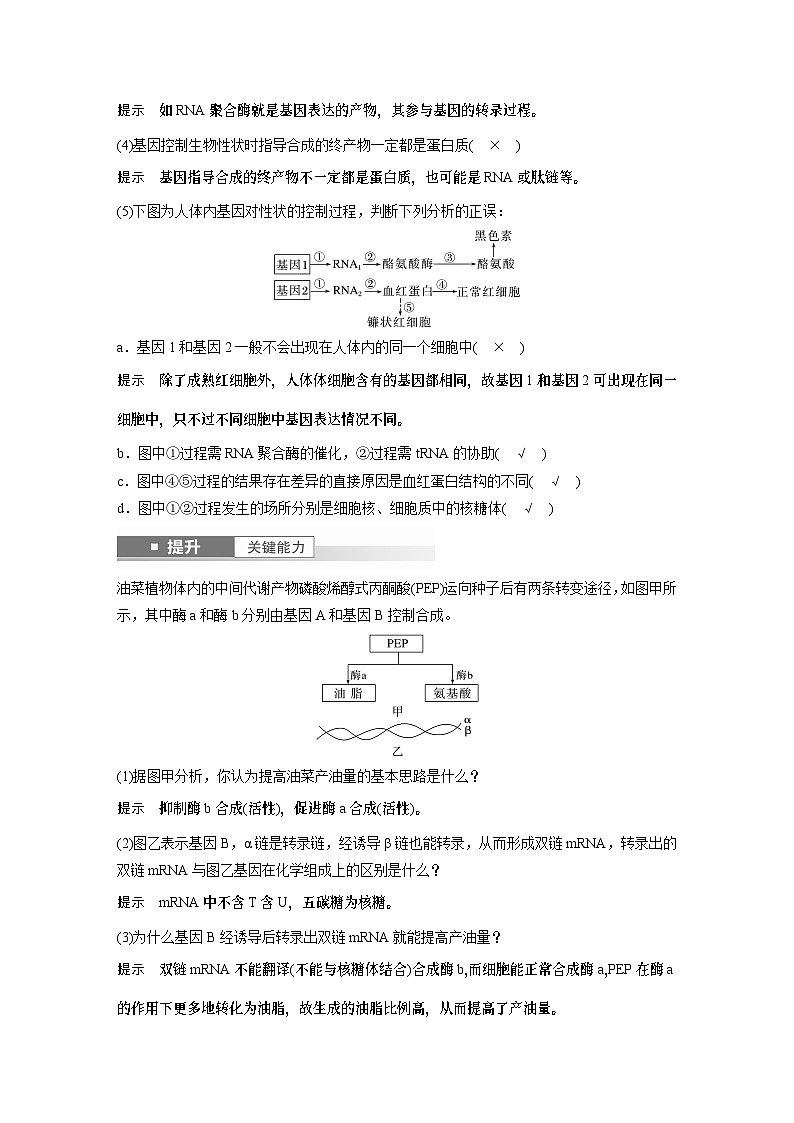 第六单元　第32课时　基因表达与性状的关系-2025年高考生物大一轮复习课件03