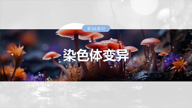 第七单元　第34课时　染色体变异-2025年高考生物大一轮复习课件01