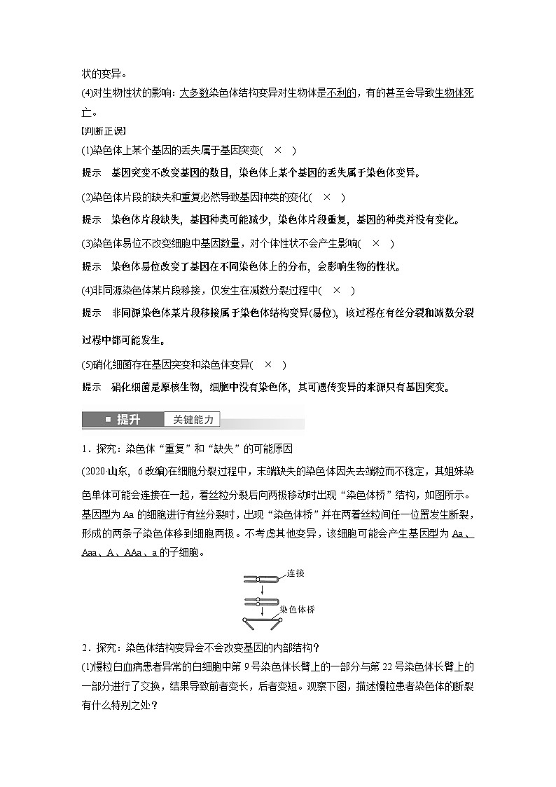 第七单元　第34课时　染色体变异-2025年高考生物大一轮复习课件02