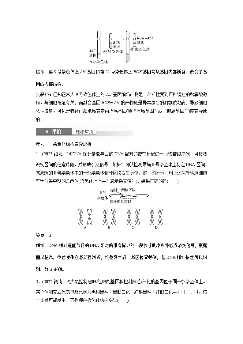第七单元　第34课时　染色体变异-2025年高考生物大一轮复习课件03
