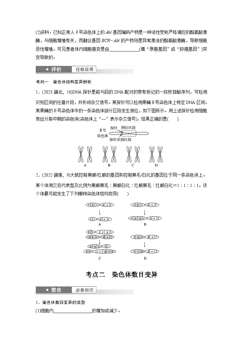 第七单元　第34课时　染色体变异-2025年高考生物大一轮复习课件03
