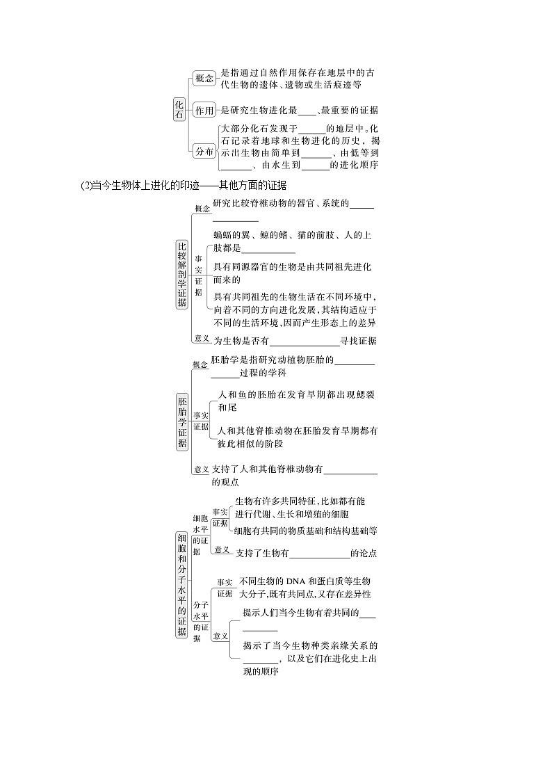 第七单元　第35课时　生物的进化-2025年高考生物大一轮复习课件02