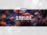 第七单元　第35课时　生物的进化-2025年高考生物大一轮复习课件