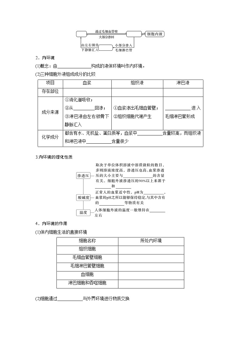 第八单元　第36课时　人体的内环境与稳态-2025年高考生物大一轮复习课件02