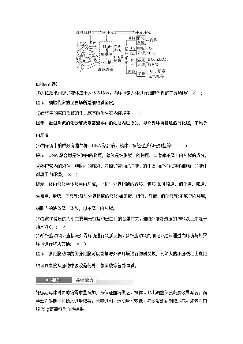 第八单元　第36课时　人体的内环境与稳态-2025年高考生物大一轮复习课件03