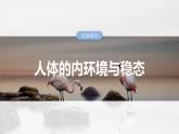 第八单元　第36课时　人体的内环境与稳态-2025年高考生物大一轮复习课件