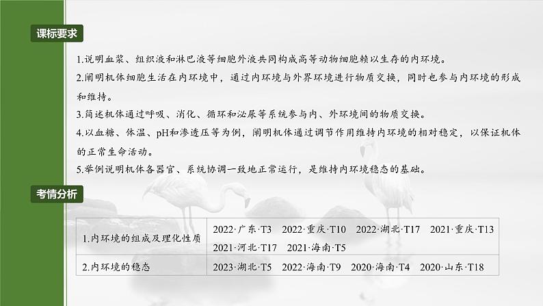 第八单元　第36课时　人体的内环境与稳态-2025年高考生物大一轮复习课件02