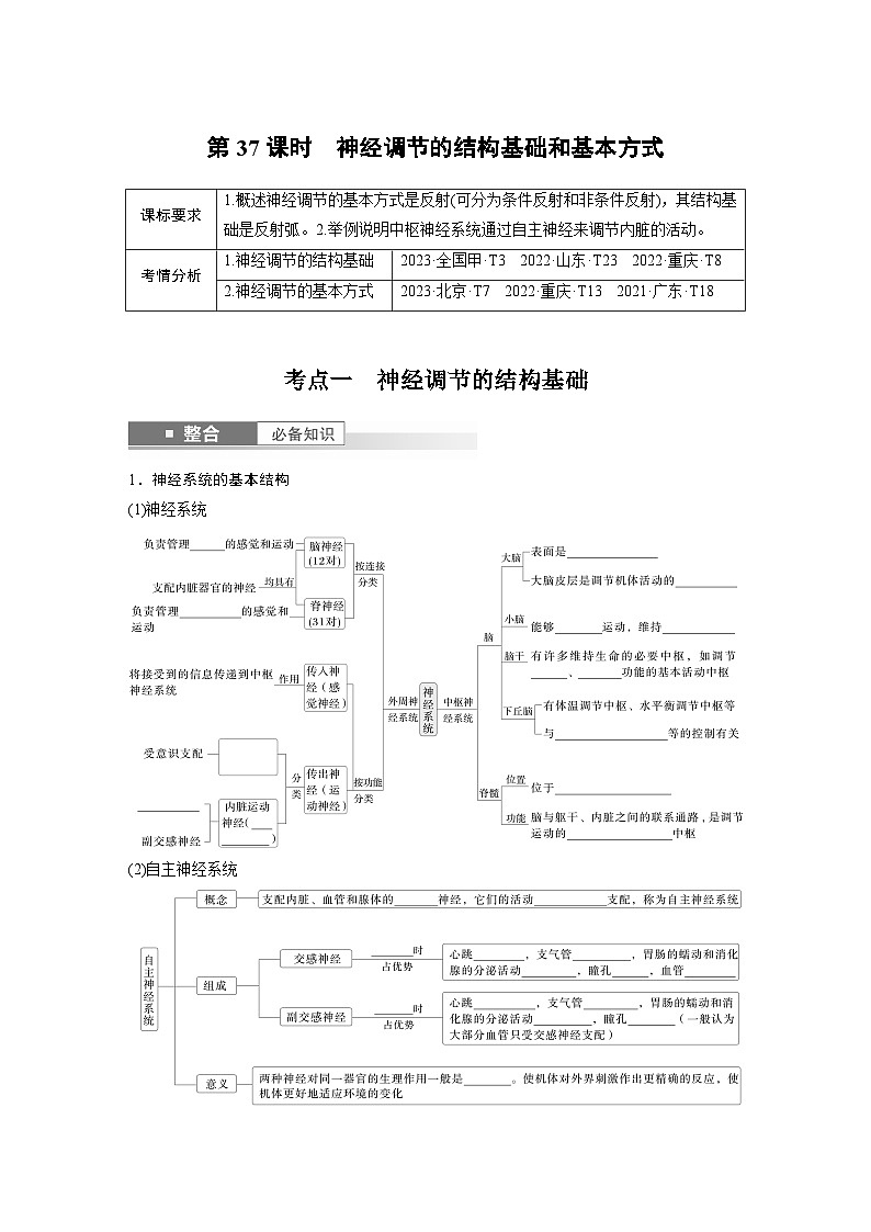 第八单元　第37课时　神经调节的结构基础和基本方式-2025年高考生物大一轮复习课件01