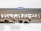 第八单元　第37课时　神经调节的结构基础和基本方式-2025年高考生物大一轮复习课件