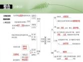 第八单元　第37课时　神经调节的结构基础和基本方式-2025年高考生物大一轮复习课件