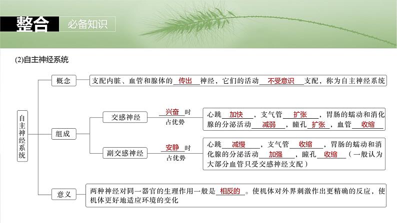 第八单元　第37课时　神经调节的结构基础和基本方式-2025年高考生物大一轮复习课件06