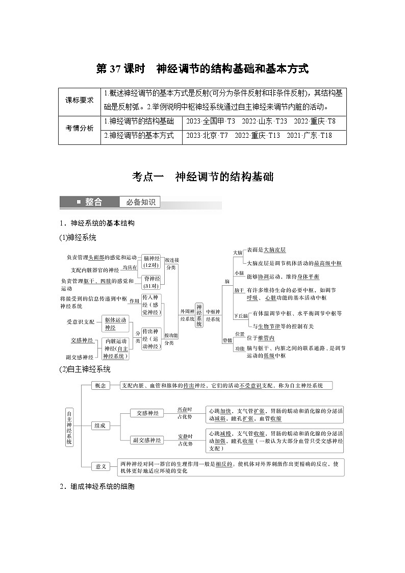 第八单元　第37课时　神经调节的结构基础和基本方式-2025年高考生物大一轮复习课件01