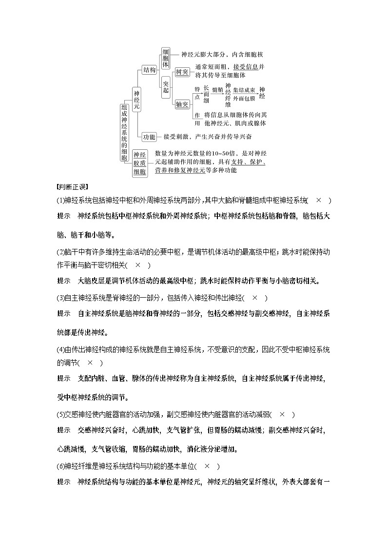 第八单元　第37课时　神经调节的结构基础和基本方式-2025年高考生物大一轮复习课件02