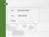 第八单元　第39课时　神经系统的分级调节及人脑的高级功能-2025年高考生物大一轮复习课件
