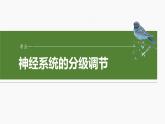 第八单元　第39课时　神经系统的分级调节及人脑的高级功能-2025年高考生物大一轮复习课件