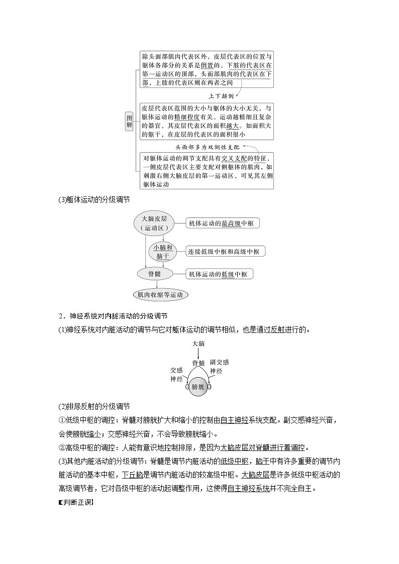 第八单元　第39课时　神经系统的分级调节及人脑的高级功能（教师版）第2页