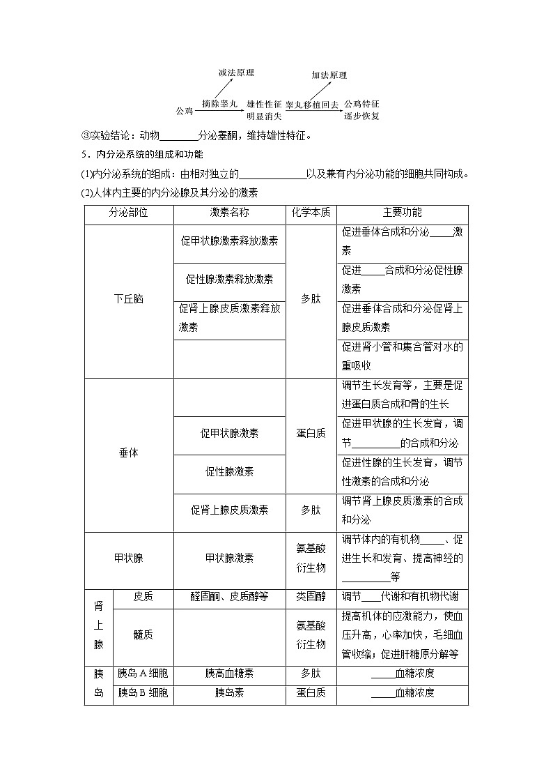 第八单元　第40课时　激素与内分泌调节及激素调节的过程-2025年高考生物大一轮复习课件03