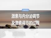 第八单元　第40课时　激素与内分泌调节及激素调节的过程-2025年高考生物大一轮复习课件