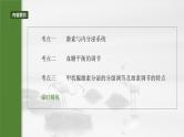 第八单元　第40课时　激素与内分泌调节及激素调节的过程-2025年高考生物大一轮复习课件